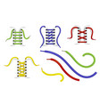 shoe lacing with colorful laces realistic vector image