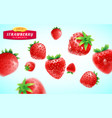 strawberry set detailed realistic ripe fresh vector image vector image