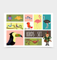 flat colorful birds collection vector image vector image