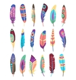 colored feathers set vector image