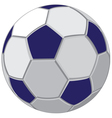 soccerball vector image