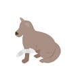 dog with broken paw icon isometric 3d style vector image vector image