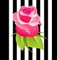 pink rose bud vintage flower wedding flower vector image vector image