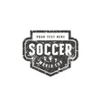 template emblem for soccer team vector image