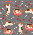 seamless pattern beagle dogs hearts and bones vector image