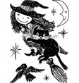 witch on a broom vector image