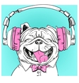 cute portrait of a dog vector image