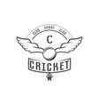 cricket club logotype vector image