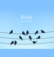 sparrow birds flock on power line and wires vector image