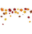 autumn maple frame vector image