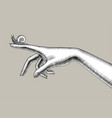 engraved vintage drawing of female pointing hand vector image