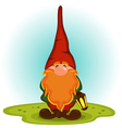 gnome with a red beard vector image
