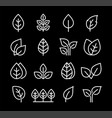 set icons leaves branches and trees vector image
