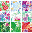 set of seamless floral pattern vector image