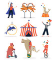 circus animals funny trained show vector image vector image