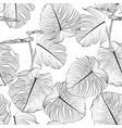 seamless floral pattern with tropical monstera vector image