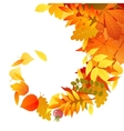 autumn background vector image