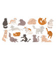 doodle flat cats funny fur cat and kittens cute vector image