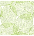 fresh green leaves background vector image