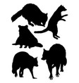 raccoon animal silhouette vector image