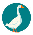 white goose vector image vector image