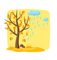 autumn tree with falling yellow leaves seasonal vector image