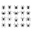 black silhouettes of spiders vector image vector image