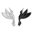 polygonal flying hummingbirds vector image vector image