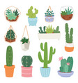 cactus cartoon botanical cacti potted cute vector image vector image