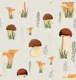 mushroom seamless pattern with autumn forest vector image