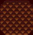 leather background vector image