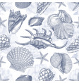 sea shell pattern texture vector image