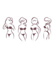 female body stylized silhouette in lingerie vector image vector image