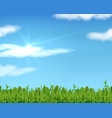 realistic lawn and sky 3d spring grass background vector image