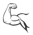 bodybuilder muscle flex arm vector image