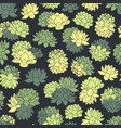 colorful hand drawn succulents seamless pattern vector image vector image