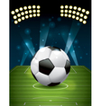 soccer - football on a grass field vector image vector image