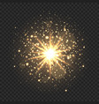 star burst with sparkles and bokeh golden light vector image vector image