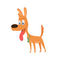 a puppy domestic animal vector image