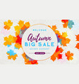 autumn big sale watercolor poster with vector image