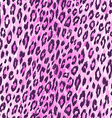 leopard skin pattern vector image