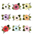 colorful anemone flower bouquet collection flat vector image vector image