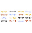 floral dividers set hand drawn leaf borders decor vector image vector image