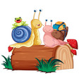 cute snail and insects in cartoon style vector image