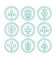 leaves and flowers vector image vector image
