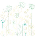 Background with drawing herbs and flowers Vector Image