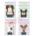 mugshot of cute dogs holding a banner 1 vector image