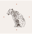 realistic leopard drawn vector image vector image