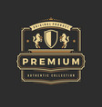 luxury logo template object for logotype vector image
