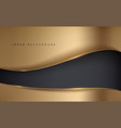 abstract black and gold luxury background vector image